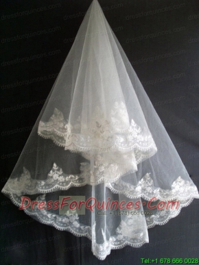 Lace Appliques Tulle Beautiful Wedding Veil