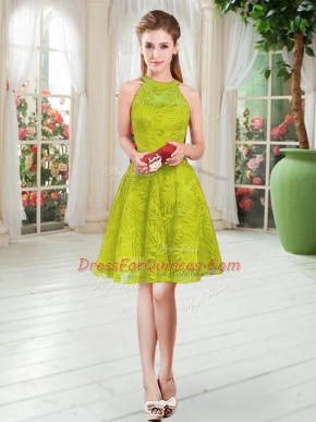 Captivating Sleeveless Lace Zipper Prom Gown