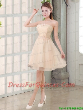 Champagne A Line Strapless Appliques Junior Dress