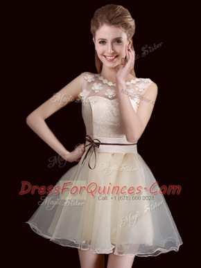 Dynamic Scoop Champagne Organza Lace Up Vestidos de Damas Sleeveless Mini Length Lace