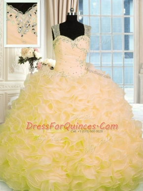 Gold Zipper Sweetheart Beading and Ruffles Sweet 16 Dress Organza Sleeveless