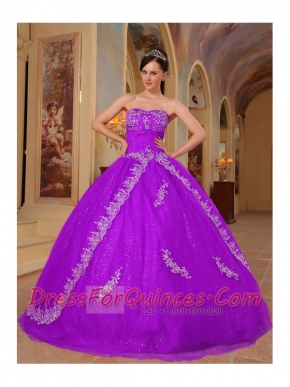 Fuchsia Appliques and Beading Sweetheart Organza Ball Gown Dress