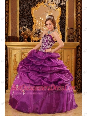 Fuchsia Ball Gown Strapless Floor-length Organza Appliques  Quinceanera Dress