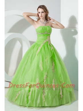 Spring Green Ball Gown Strapless 15th Birthday Dresses  Organza Beading and Embroidery