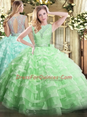 Traditional Organza Sleeveless Floor Length Quinceanera Gowns and Lace and Ruffled Layers