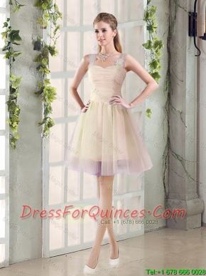 2016 Fall New A Line Straps Dama Dresses