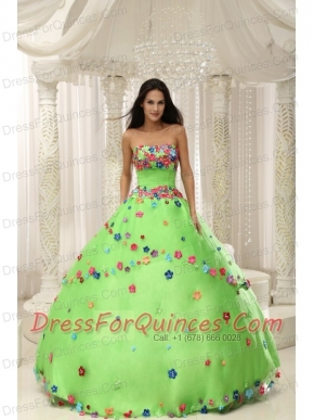 Quninceaera Gown For Custom Made Appliques Decorate Bodice