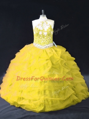 Gold Backless Halter Top Appliques and Pick Ups 15 Quinceanera Dress Organza Sleeveless
