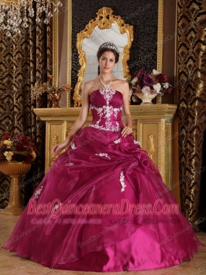 Fuchsia Ball Gown Strapless Floor-length Organza and Satin Appliques Quinceanera Dress