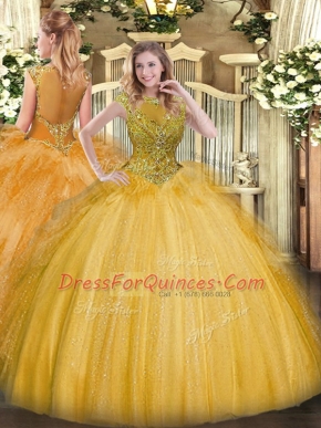Elegant Scoop Sleeveless Zipper 15th Birthday Dress Gold Tulle