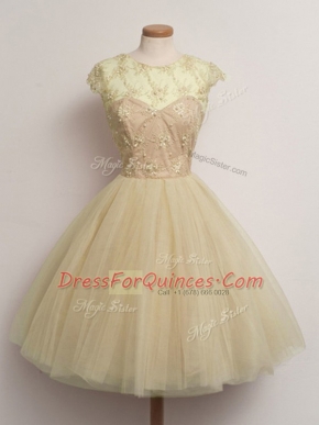 Stunning Ball Gowns Dama Dress Champagne Scoop Tulle Cap Sleeves Knee Length Lace Up