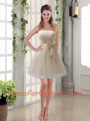 Simple Ruching Strapless Princess  Dama Dress with Bowknot