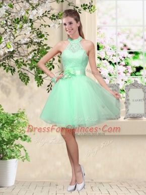 Traditional Sleeveless Lace and Belt Lace Up Quinceanera Court of Honor Dress