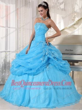 Baby Blue Ball Gown Strapless Floor-length Organza Appliques Quinceanera Dress