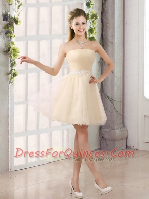 2015 Appliques Strapless A Line Mini Length Dama Dress