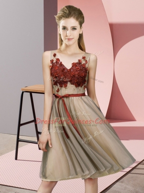 Tulle V-neck Sleeveless Lace Up Appliques Court Dresses for Sweet 16 in Champagne