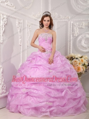 Pink Ball Gown Strapless Floor-length Organza Appliques  Quinceanera Dress