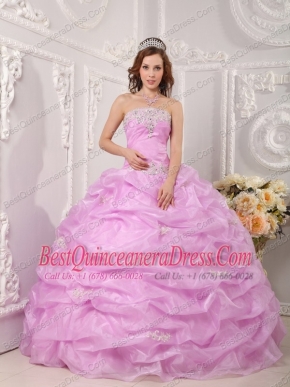 Pink Ball Gown Strapless Floor-length Organza Appliques  Quinceanera Dress