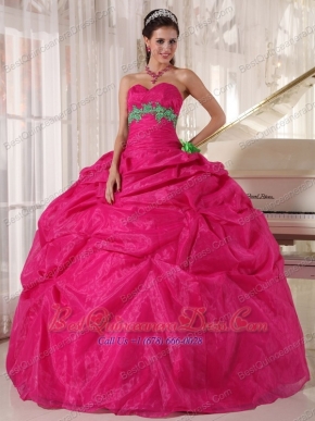 Hot Pink Ball Gown Sweetheart Floor-length Organza Appliques Quinceanera Dress