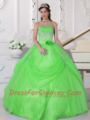 Spring Green Strapless Taffeta and Tulle Appliques and Hand Made Flower Ball Gown Dress