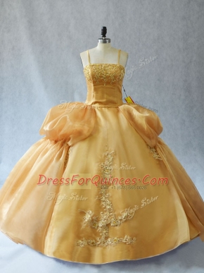 Organza Sleeveless Floor Length Quinceanera Gown and Appliques