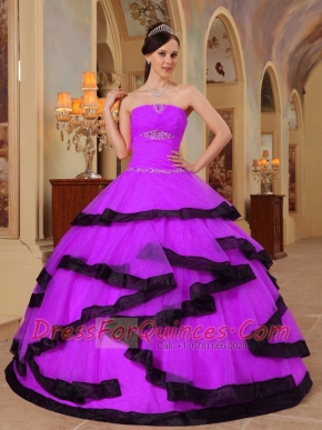 Purple and Black Strapless Pretty Quinceanera Dresses with Organza Appliques