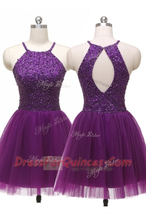 Pretty Purple Scoop Zipper Sequins Sleeveless