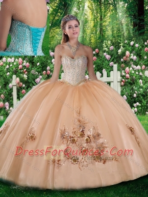 Pretty Ball Gown Beading and Appliques Quinceanera Dresses