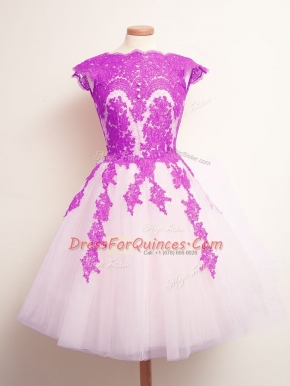 Inexpensive Tulle Sleeveless Mini Length Dama Dress and Appliques