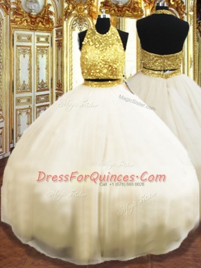 Ball Gowns Ball Gown Prom Dress Champagne Halter Top Tulle Sleeveless Floor Length Zipper