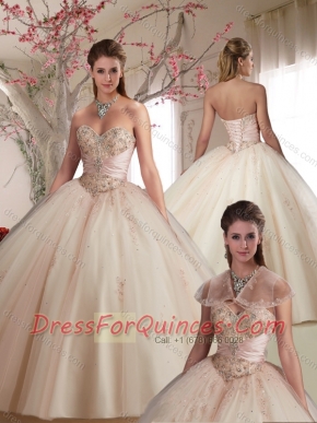 Classical Big Puffy Beaded and Applique Tulle Champagne Quinceanera Gown