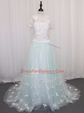Apple Green Flower Girl Dresses Wedding Party with Appliques Scoop Short Sleeves Brush Train Clasp Handle