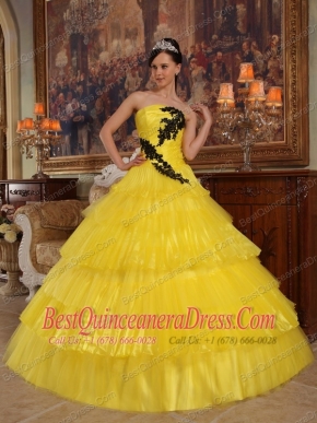 Yellow Ball Gown Strapless Floor-length Organza Appliques Quinceanera Dress