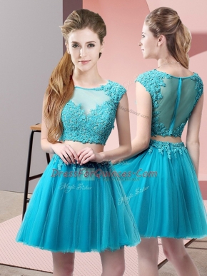 Tulle Sleeveless Mini Length Prom Gown and Appliques