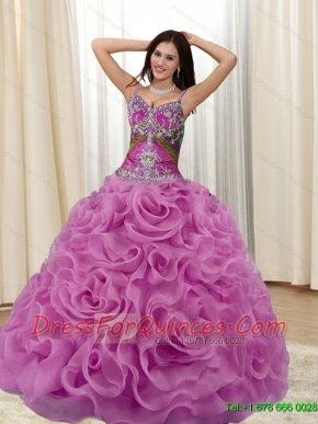 Elegant Appliques and Rolling Flowers Multi Color 2015 Sweet 16 Dresses