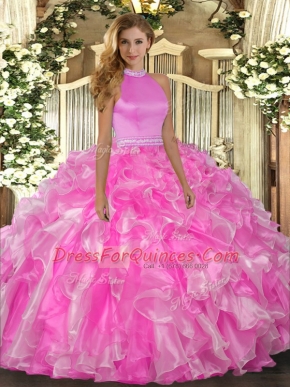 Custom Fit Floor Length Ball Gowns Sleeveless Rose Pink Quinceanera Dress Backless