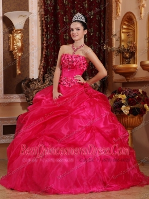 Hot Pink Ball Gown Strapless Floor-length Organza Appliques Quinceanera Dress