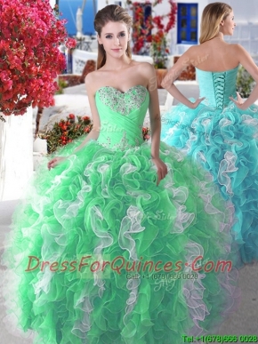 Wonderful Organza Big Puffy Sweet 16 Dress with Beading and Ruffles