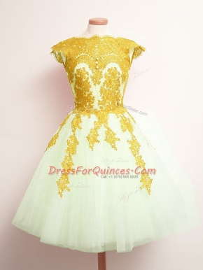 Stunning Sleeveless Lace Up Mini Length Appliques Court Dresses for Sweet 16