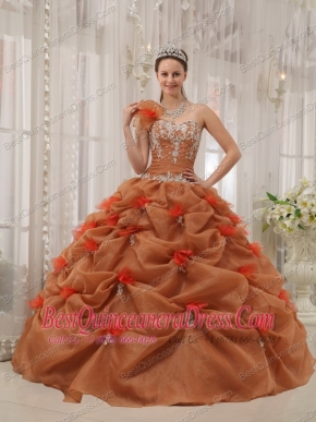Rust Red Ball Gown One Shoulder Floor-length Organza Appliques Quinceanera Dress