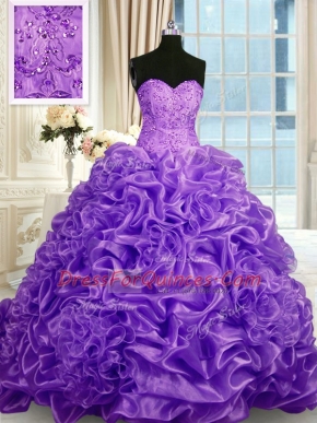 Sweetheart Sleeveless Organza 15 Quinceanera Dress Beading and Pick Ups Sweep Train Lace Up