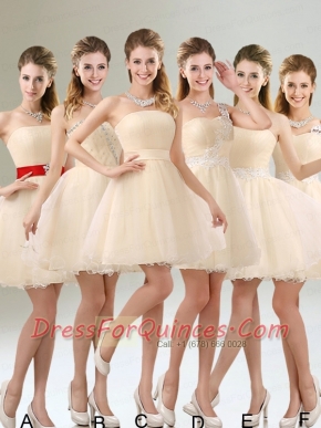 2015 Perfect A Line Organza Dama Dress with Mini Length