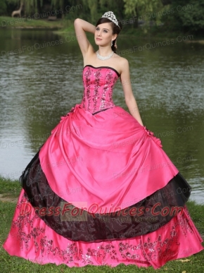 Quinceanera Dress Hot Pink Hand Made Flowers With Embroidery