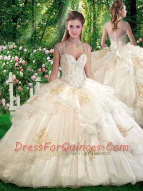 Romantic Ball Gown Sweet 16 Dresses with Beading and Appliques