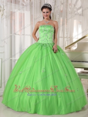 Spring Green Ball Gown Strapless Floor-length Taffeta and Tulle Appliques Quinceanera Dress