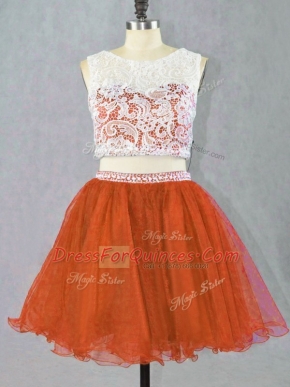 Red Organza Zipper Dress for Prom Sleeveless Mini Length Appliques