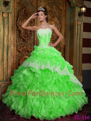 2013 Spring Green Ball Gown Strapless With Floor-length Ruffles Organza Quinceanera Dress