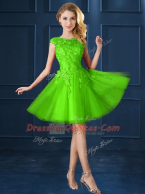 Cute Tulle Bateau Cap Sleeves Lace Up Lace and Appliques Damas Dress in