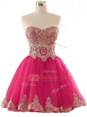 Hot Pink A-line Sweetheart Sleeveless Tulle Mini Length Lace Up Appliques