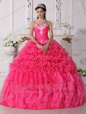 Hot Pink Ball Gown Strapless Floor-length Organza Embroidery with Beading Quinceanera Dress